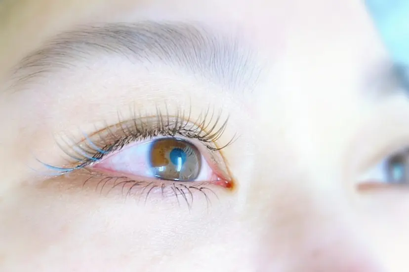 Amaryllis 渡辺の掲載