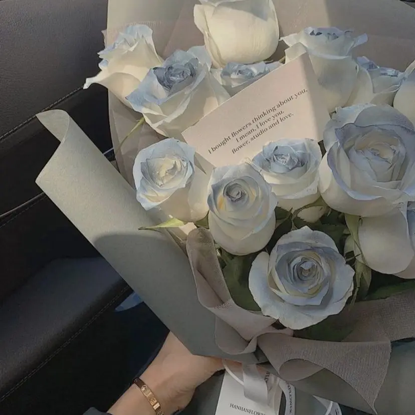 しらいし ちはるの掲載