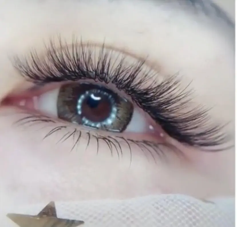 FOXY LASH Kikuchiの掲載