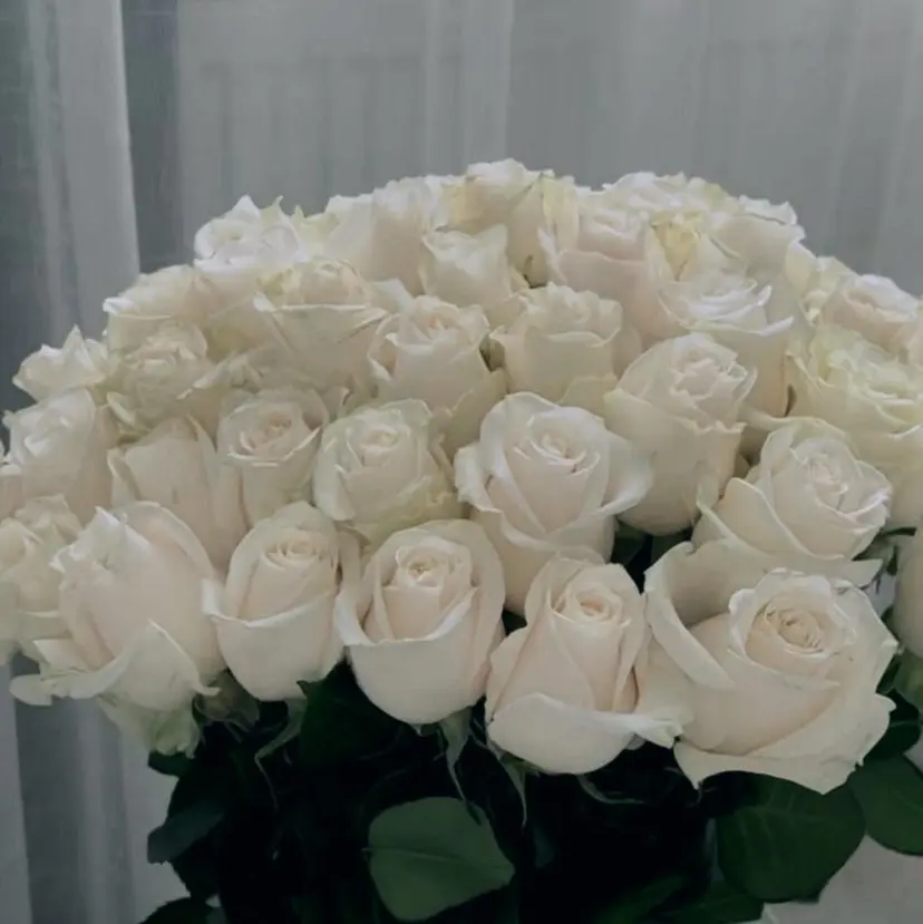 プラスアイ銀座本店 🥀RIHO🥀の掲載