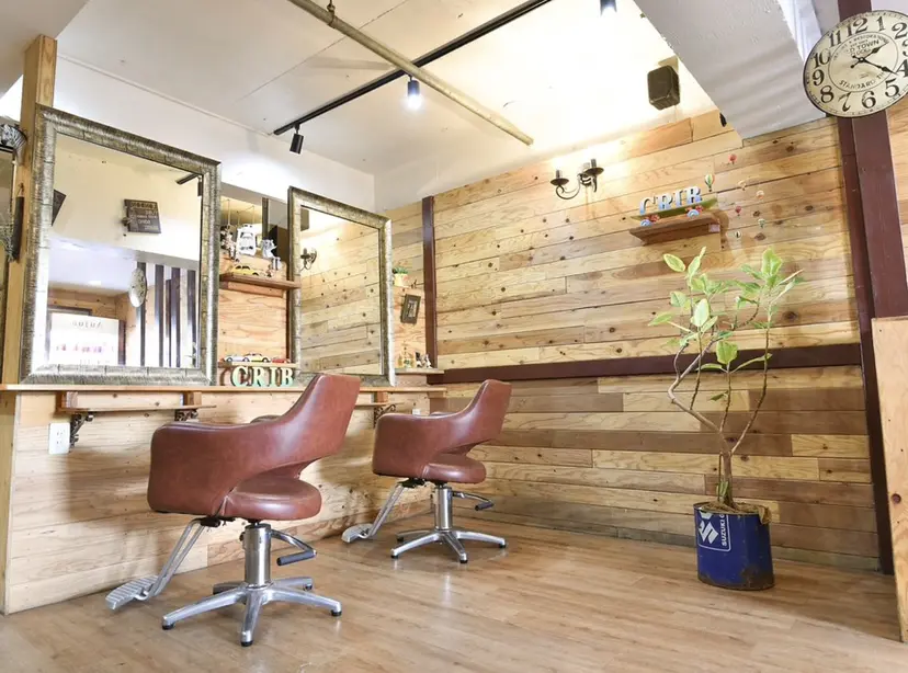 佐々木 杏の掲載