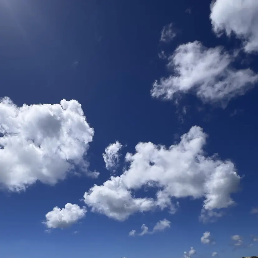 🪺fein. chihiro🪹の掲載