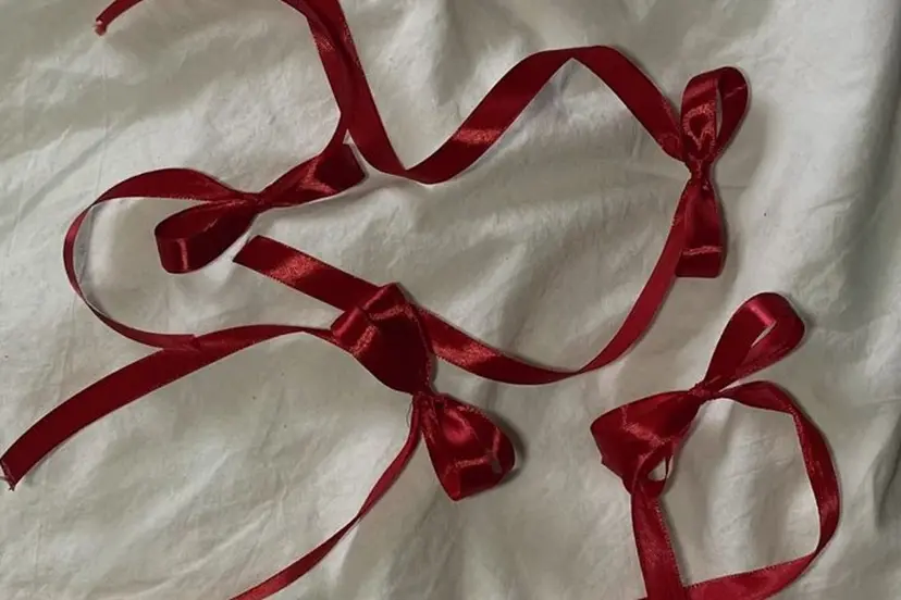 🐶カラーモデル🐶 くまだ あかねの掲載