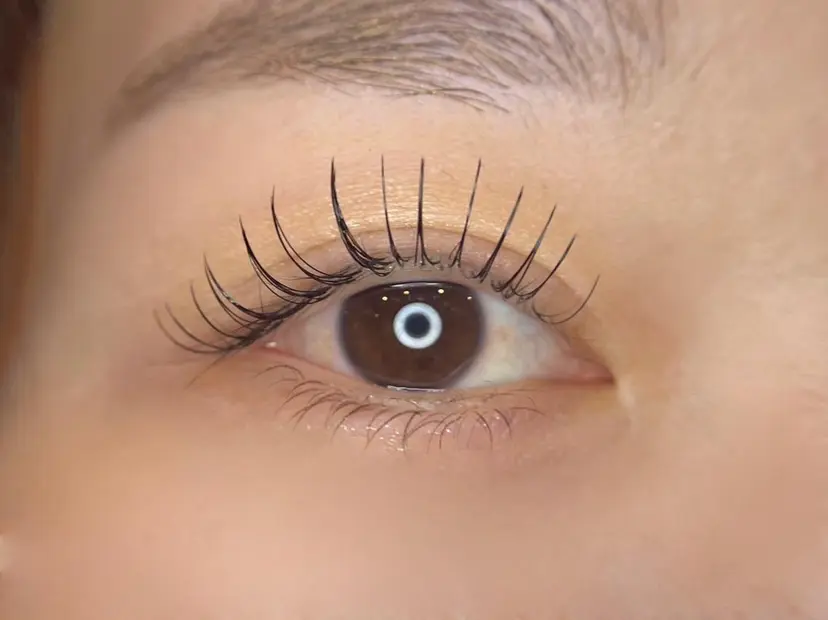 コハク アイラッシュの掲載