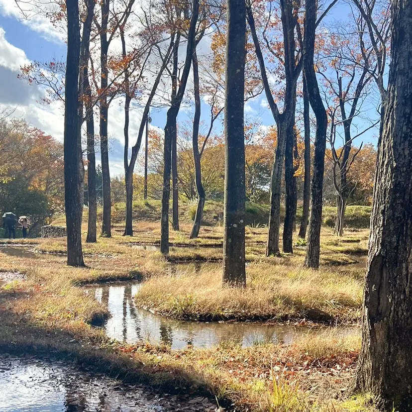 ショート✂️ 無料カット🔥すかいの掲載