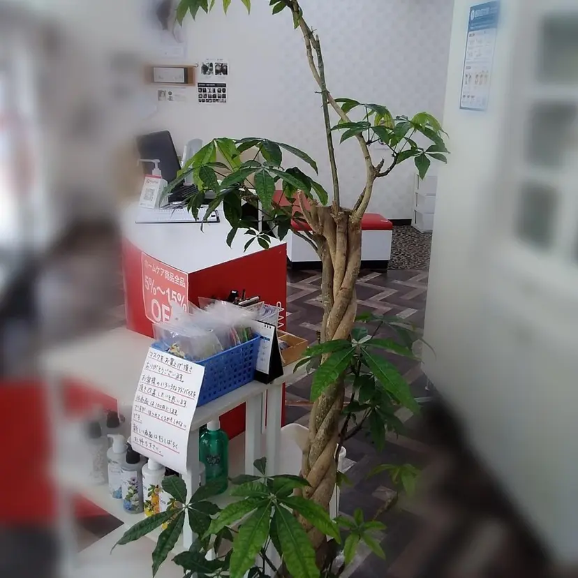 てんとう虫伊敷団地店 山内の掲載