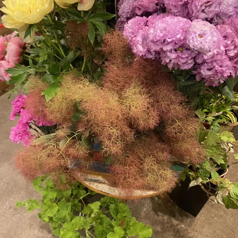 kiyono moekaの掲載