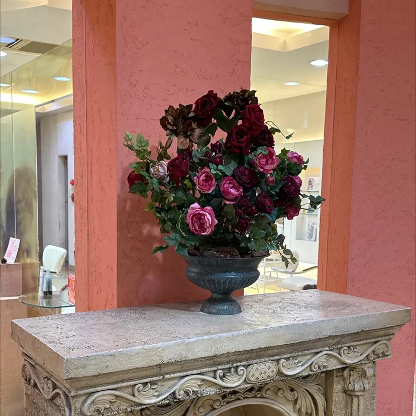 シュヴー門前仲町 マサゴの掲載