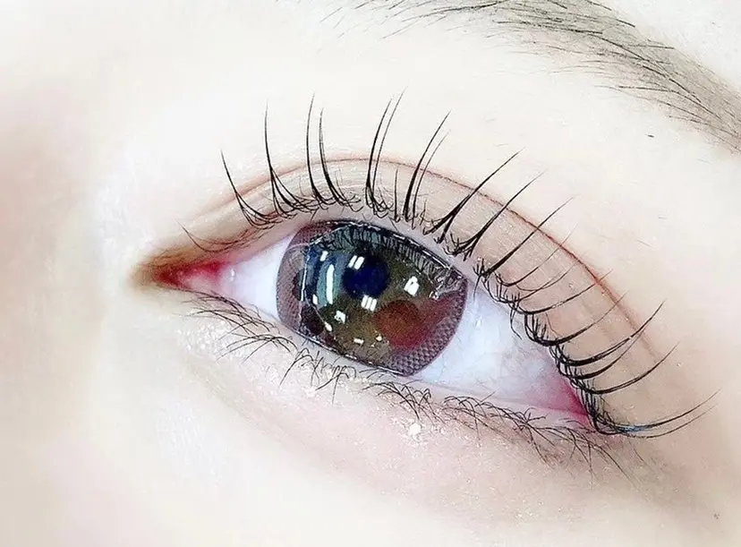 吉良 彩音の掲載