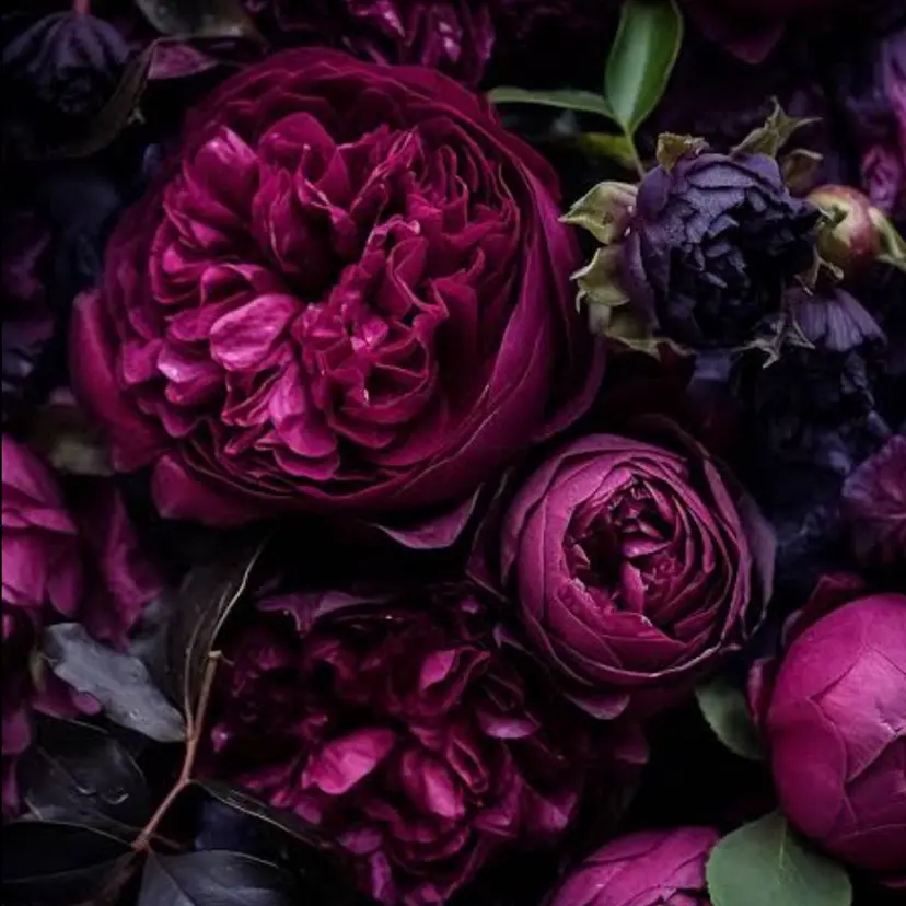 🍎ブリーチモデル 募集/madokaの掲載