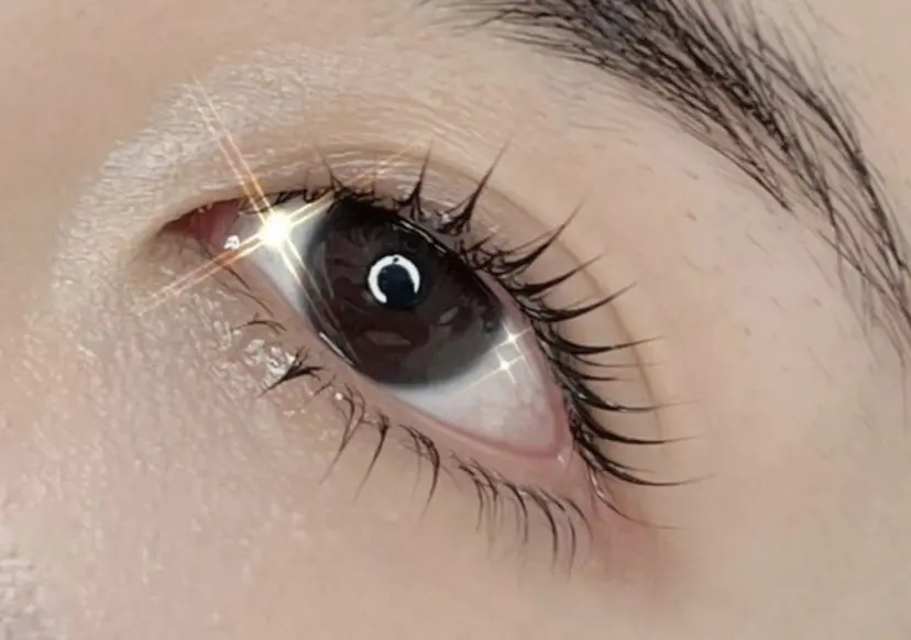 ハン セイイの掲載