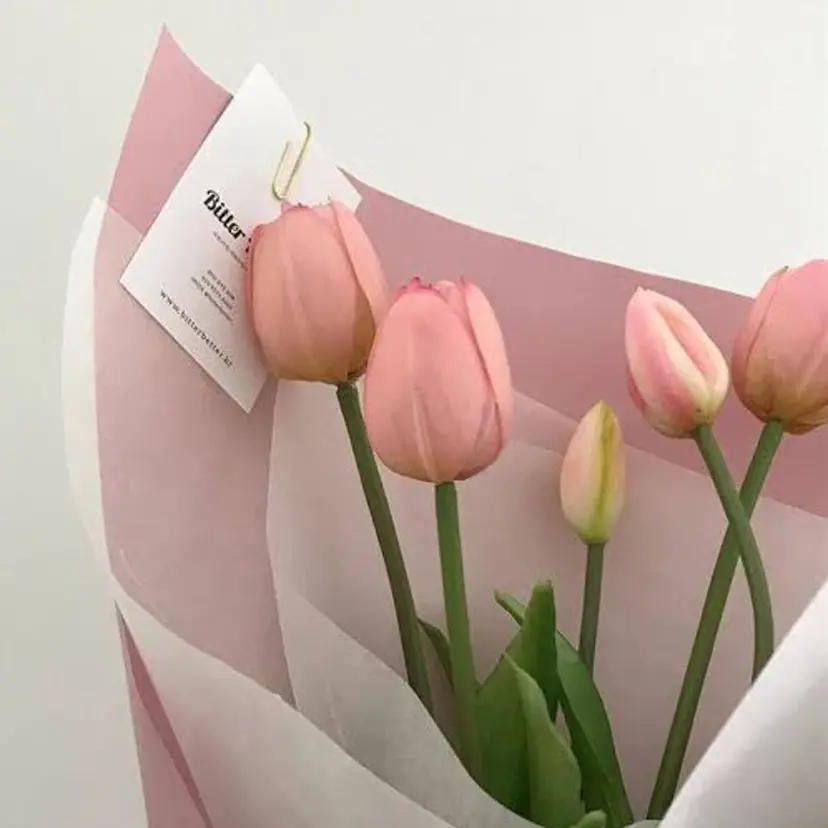 Aya 🤍🪽の掲載