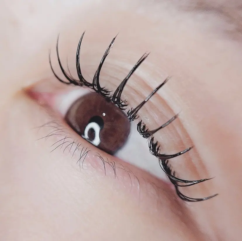 araki 🧸💭の掲載