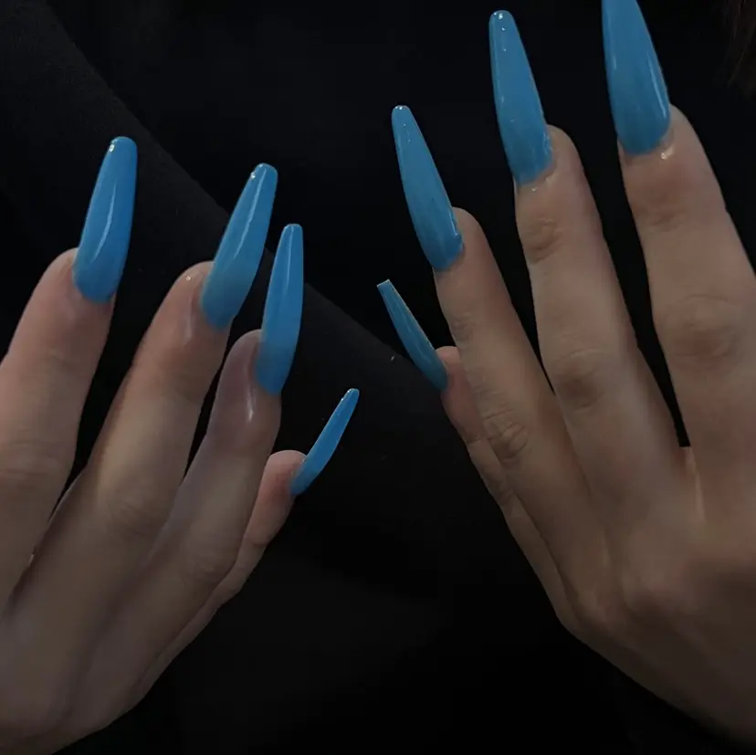 🦋 SEREA 🦋の掲載