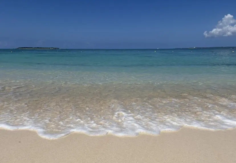 モデル募集中🌺 KANONの掲載