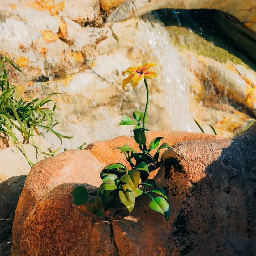 Eiji ／メンズパーマ募集中の掲載