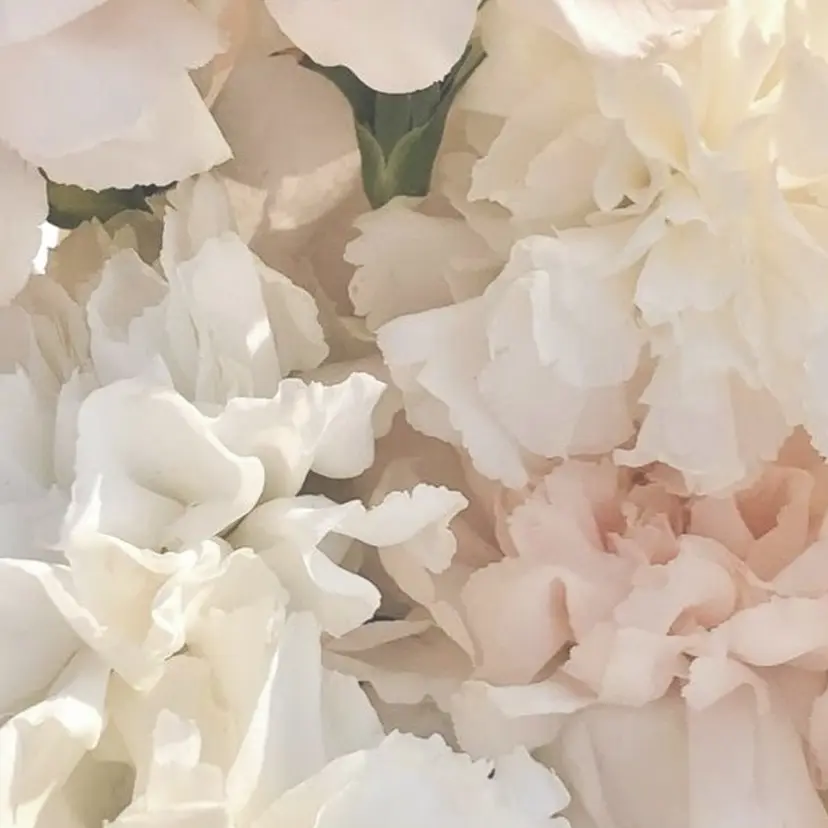 hiyo🫧ネイル /渋谷💍🎀の掲載