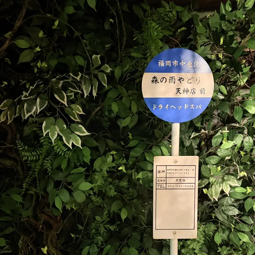 やました みさきの掲載