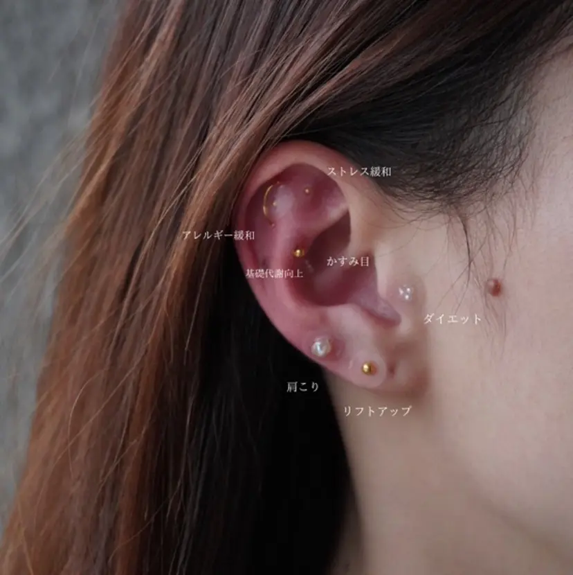 草開 瑞穂の掲載