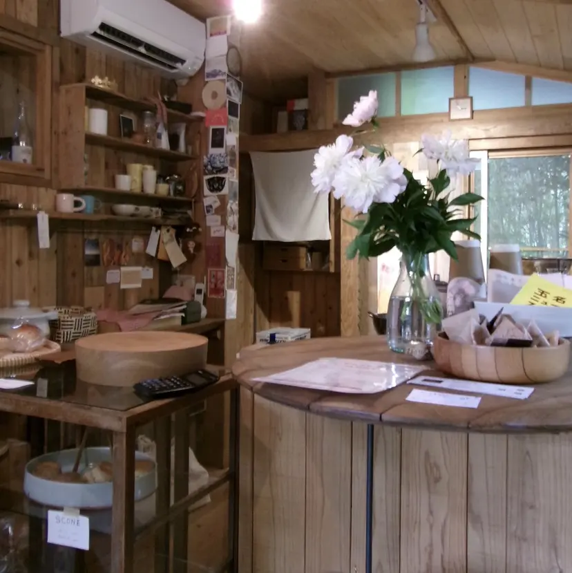 タシロサツキ /　ベージュカラーの掲載