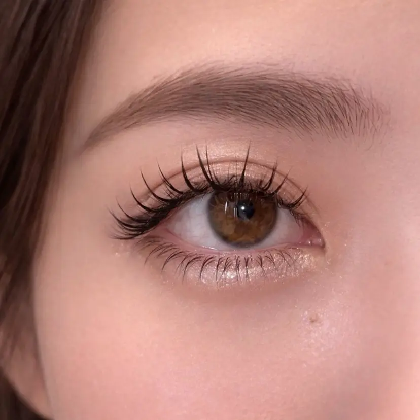 森川 紋茄の掲載