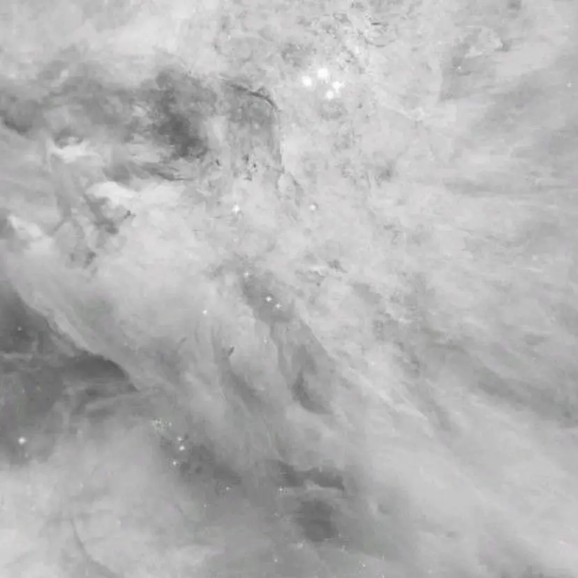 🦩💗カラー特化 💗🦩aikaの掲載