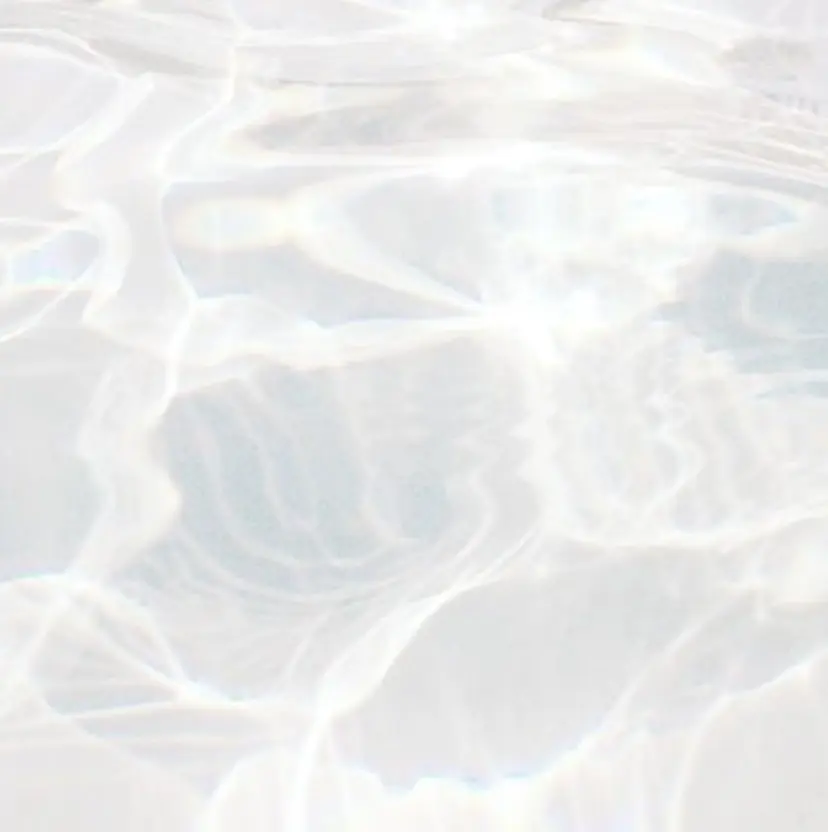 Roselash Rukiの掲載