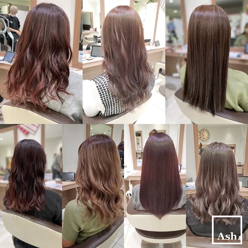 中森 玲菜の掲載