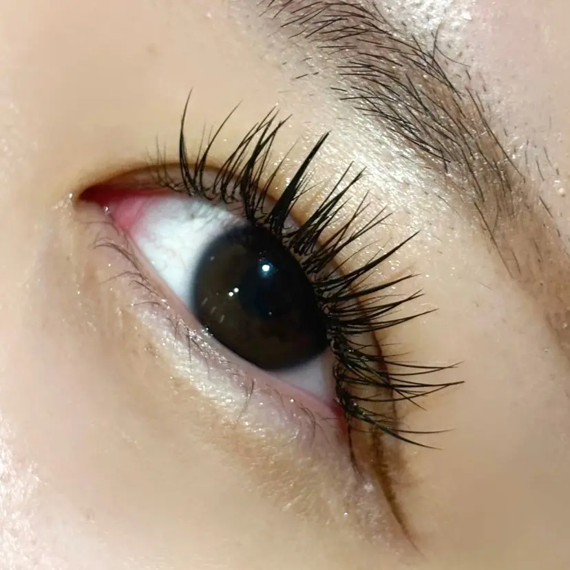 LEDマツエク/ アイブロウ/石原の掲載