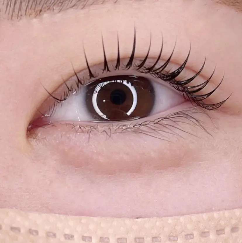 eyelash SORTEの掲載