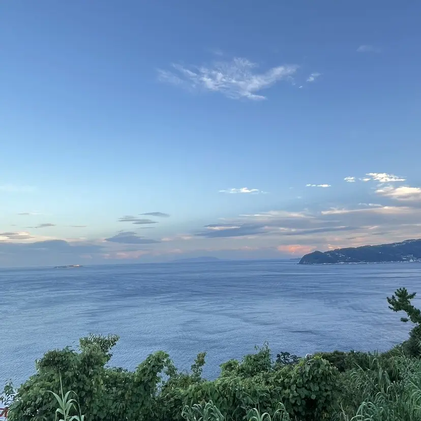 木藤 美朝の掲載