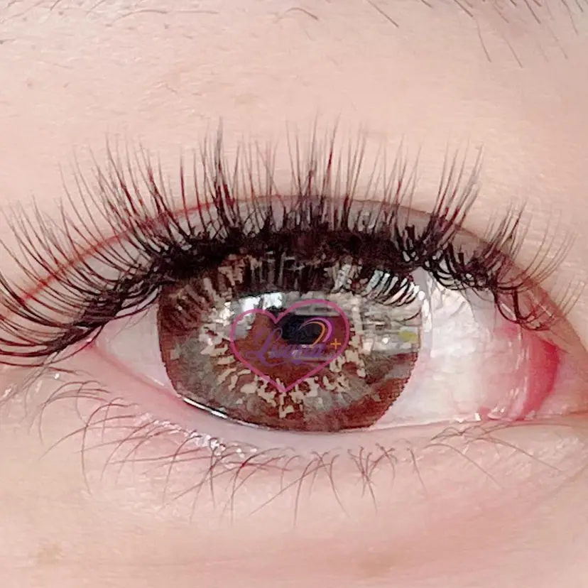 ルアナプラス 中目黒の掲載