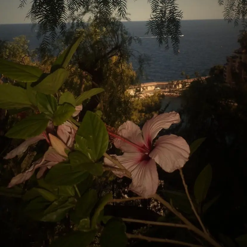 Ercher こはるの掲載