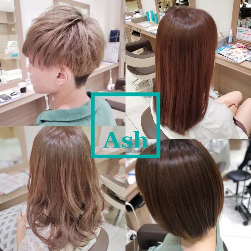 中森 玲菜の掲載