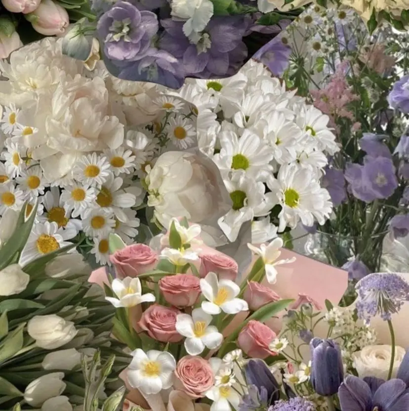 MAXKELLY miiの掲載