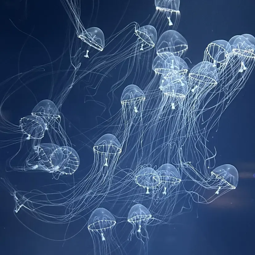 ブリーチカラー／ 髪質改善emi🍒の掲載