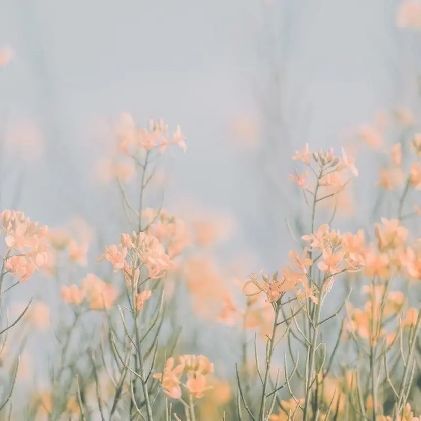 MAQUIA草津店 村井の掲載