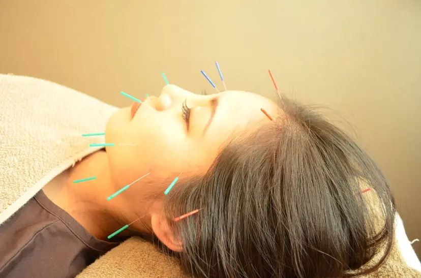 木原 しほりの掲載