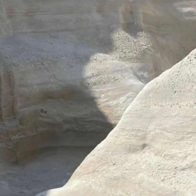 フタバ .の掲載