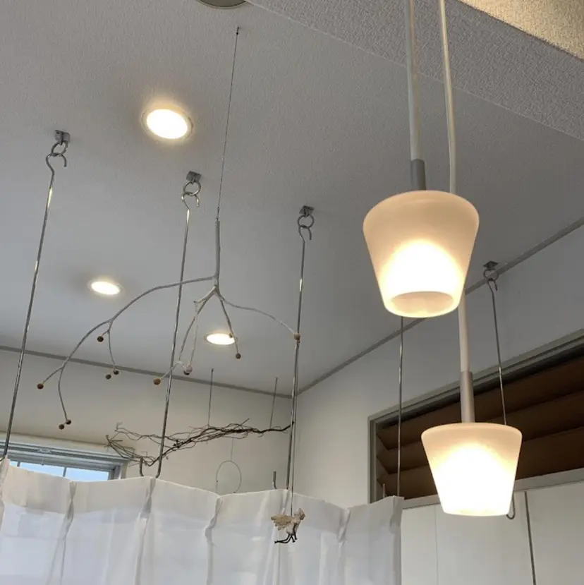 apica/ 菊地さら紗の掲載