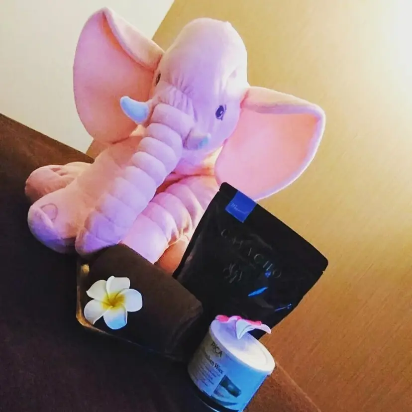 PetitSalon LANAの掲載