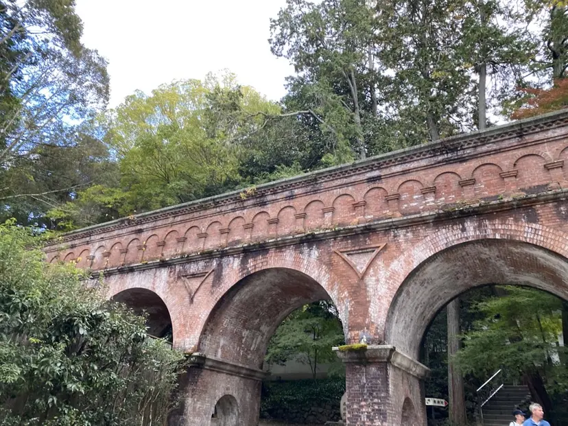 たなか れなの掲載