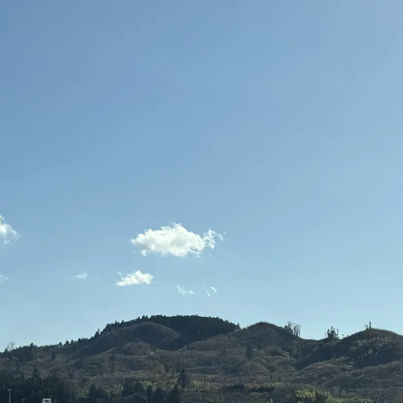 さくら 🍃の掲載