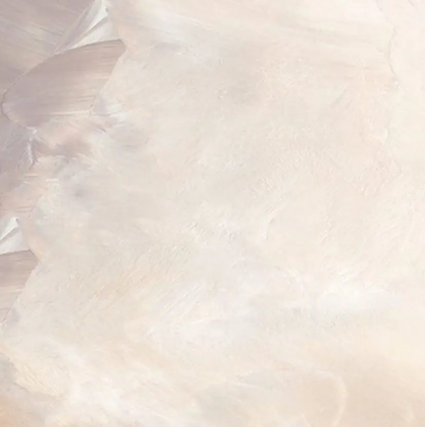 田中 美羽の掲載