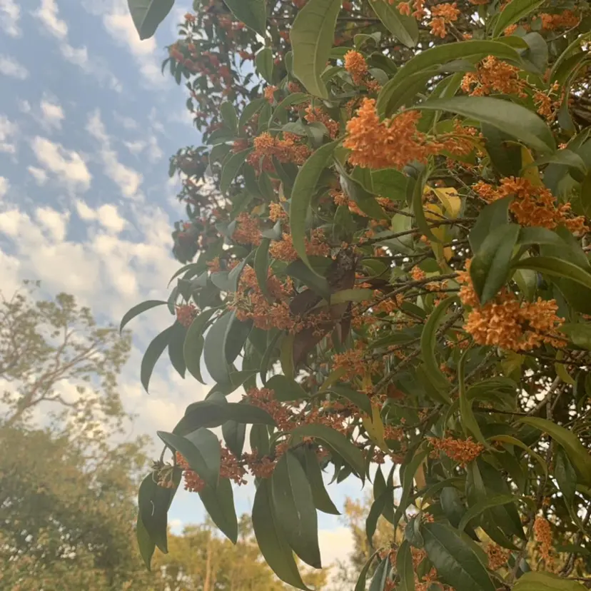 大塚 綾乃の掲載