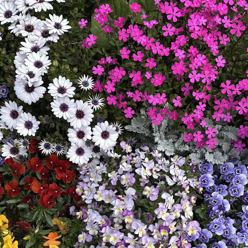 五十嵐 美玖の掲載