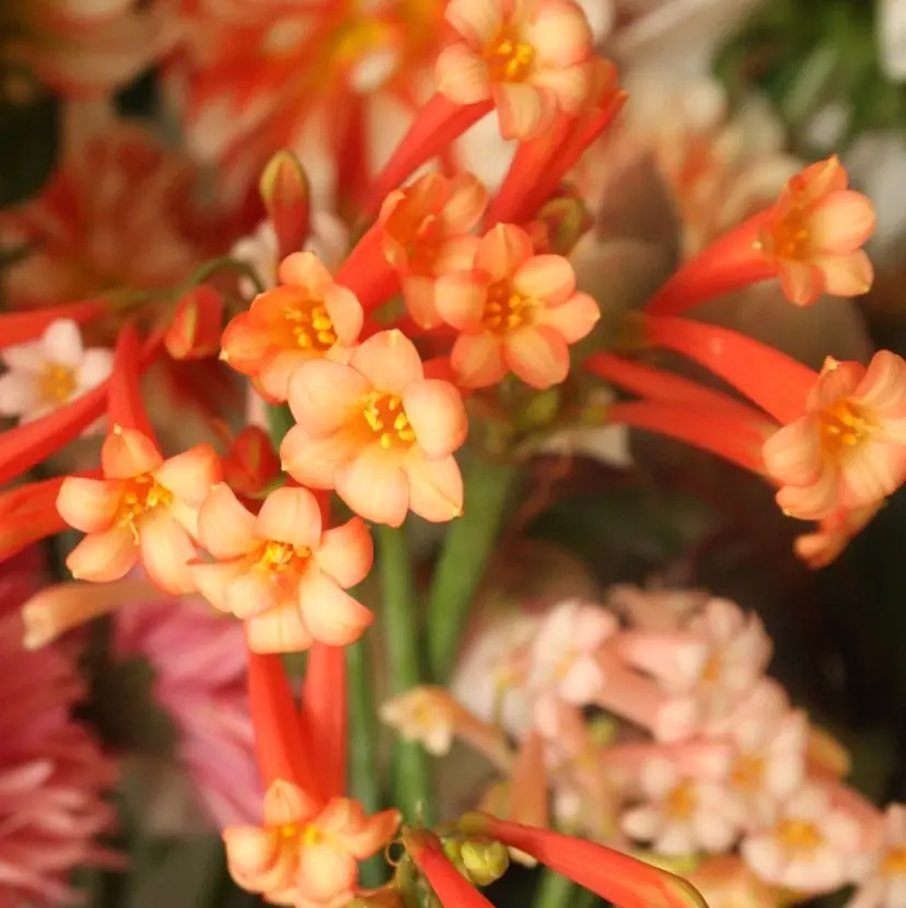 眉毛専門店 Ai Quickの掲載