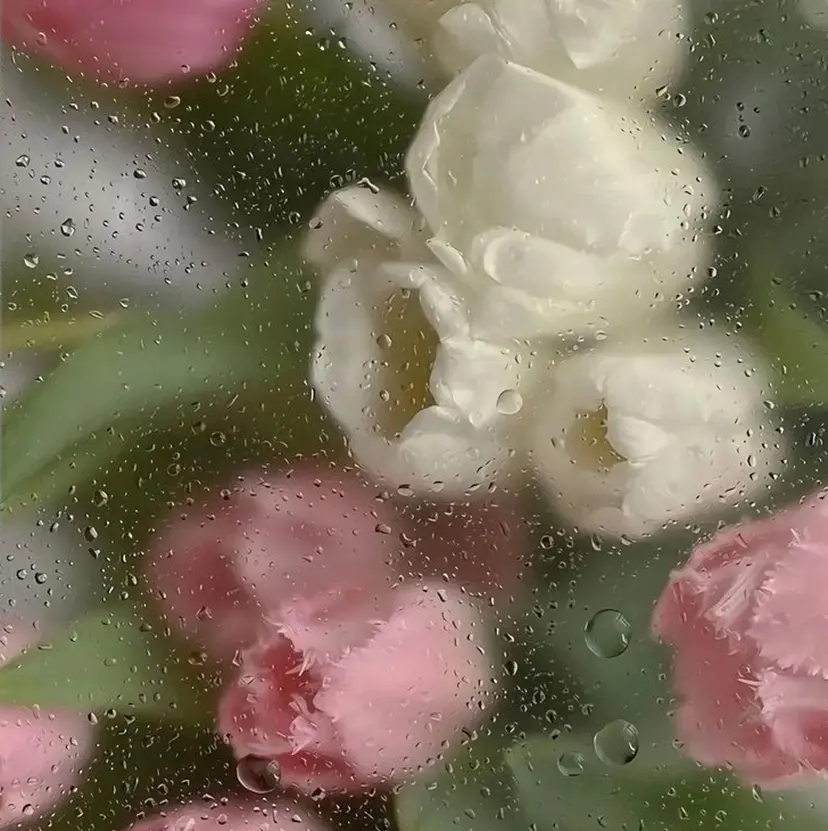 ANEW 目黒 ハルカ🦢🫧の掲載