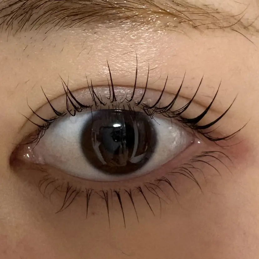 中村 稀来里の掲載