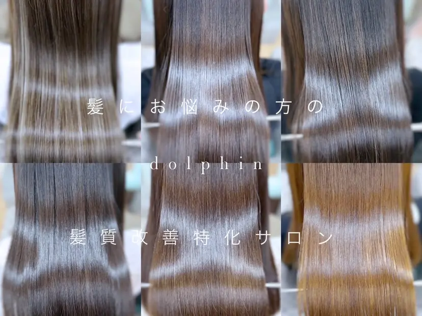 dolphin ドルフィンの掲載